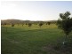 142 Martins Lane, Knockrow NSW 2479