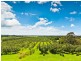 142 Martins Lane, Knockrow NSW 2479