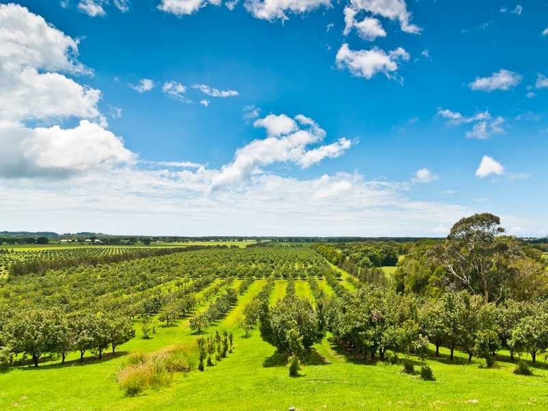142 Martins Lane, Knockrow NSW 2479