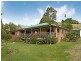 445 Cosy Camp Road, Corndale NSW 2480