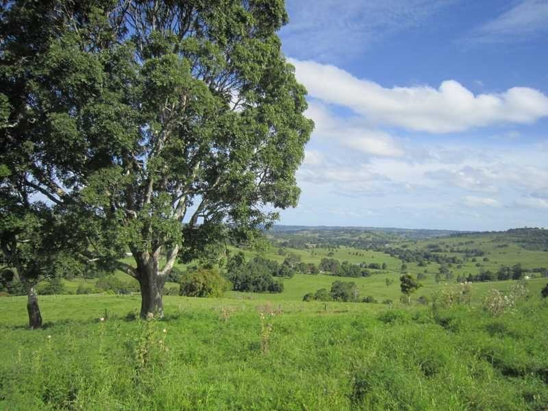206 Cross Road, Numulgi NSW 2480