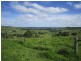 206 Cross Road, Numulgi NSW 2480
