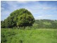 206 Cross Road, Numulgi NSW 2480
