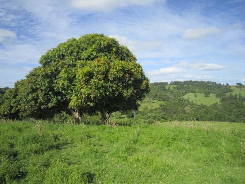 206 Cross Road, Numulgi NSW 2480