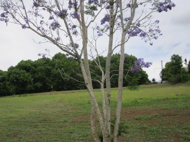 43 McKenzie Road, Eltham NSW 2480