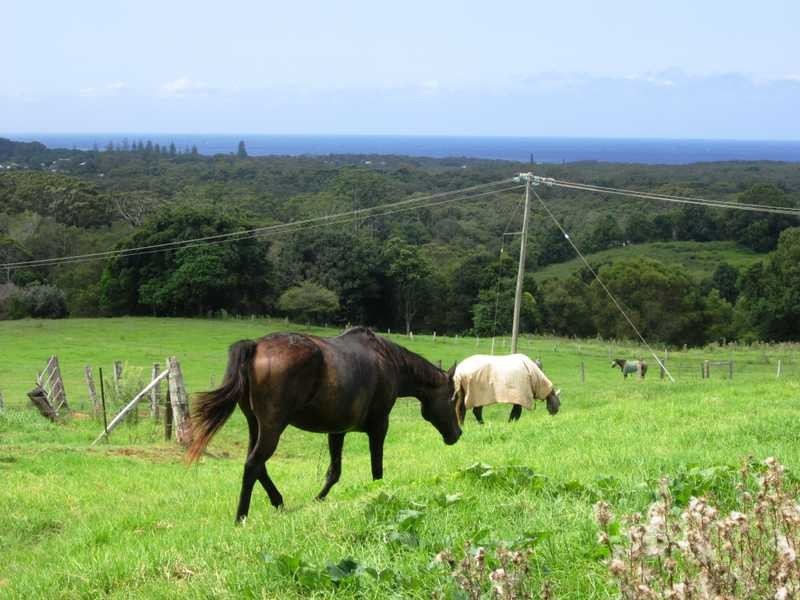 The Saddle Road, Brunswick Heads NSW 2483