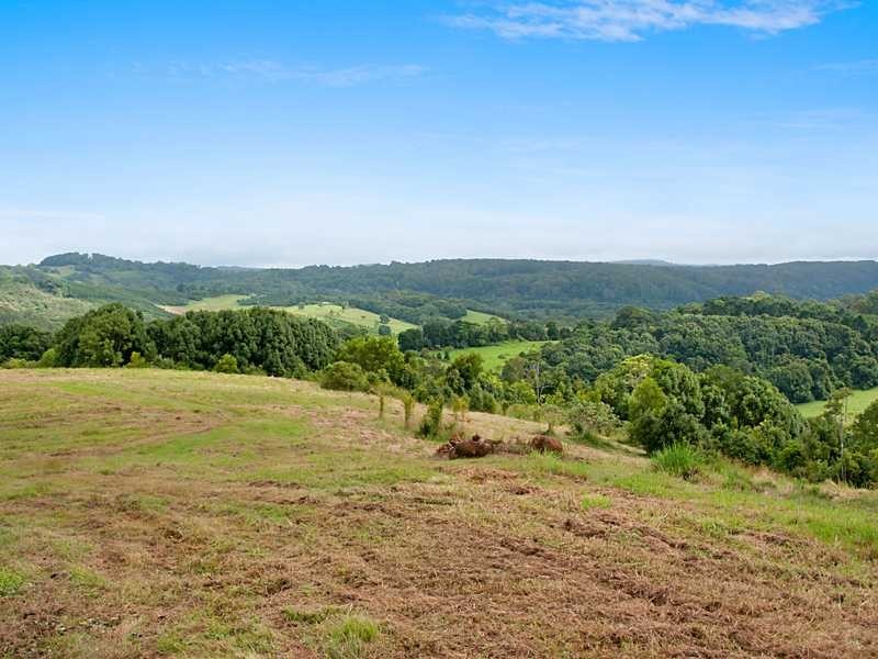 110 Lychee Drive, Rosebank NSW 2480