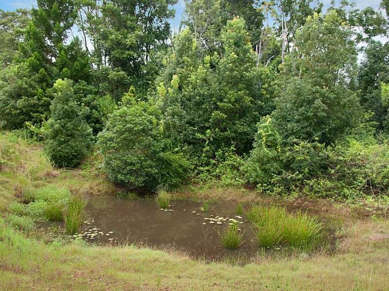 110 Lychee Drive, Rosebank NSW 2480