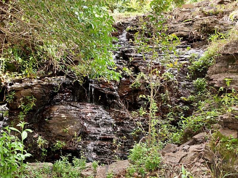 19 Funnell Drive, Modanville NSW 2480