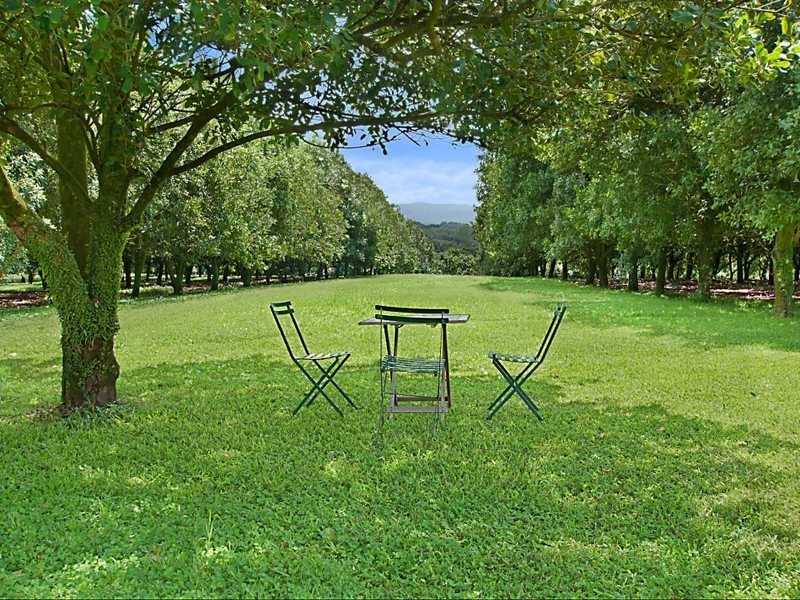 28 Rayward Street, Dunoon NSW 2480