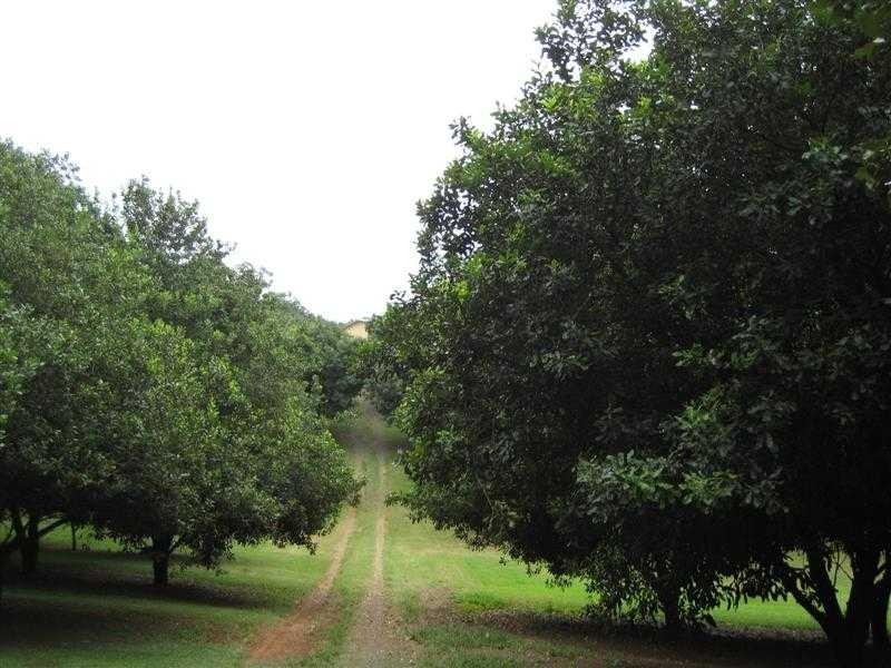 Lot 2 Rayward Road, Dunoon NSW 2480