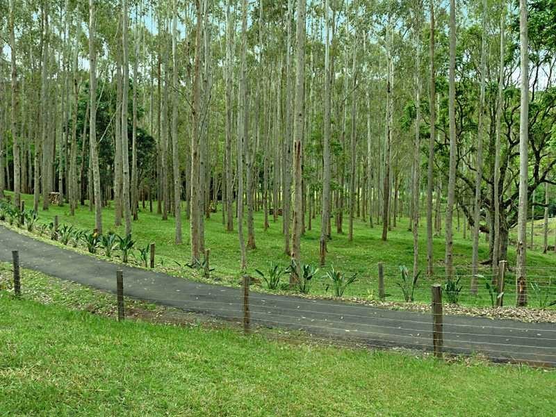 102 Eureka Road, Rosebank NSW 2480