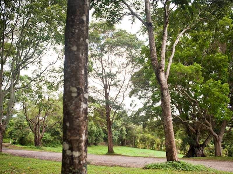 84 Fowlers Lane, Bangalow NSW 2479