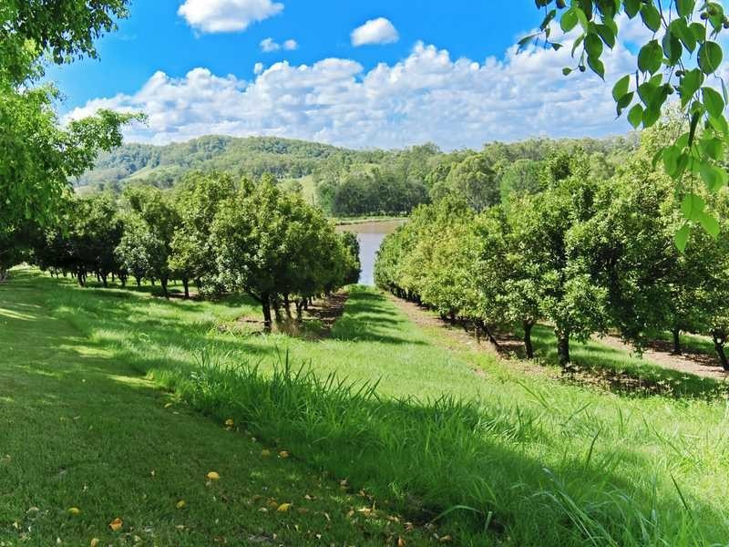 1440 Kinkin Road, Wolvi QLD 4570