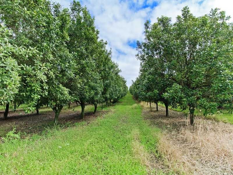 1440 Kinkin Road, Wolvi QLD 4570