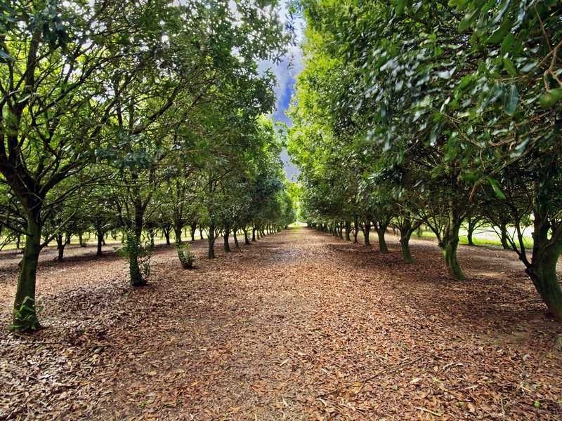 1440 Kinkin Road, Wolvi QLD 4570