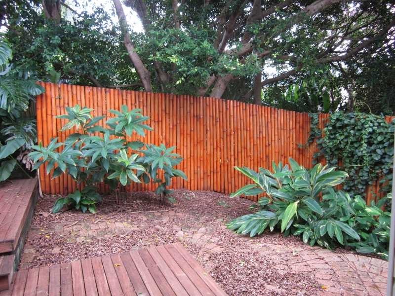 20 Campbell Street, Bangalow NSW 2479