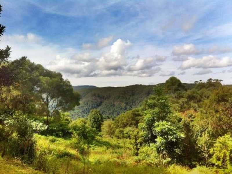 142 Rose Road, The Channon NSW 2480