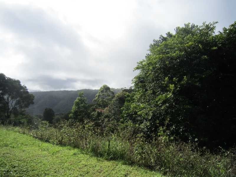 142 Rose Road, The Channon NSW 2480