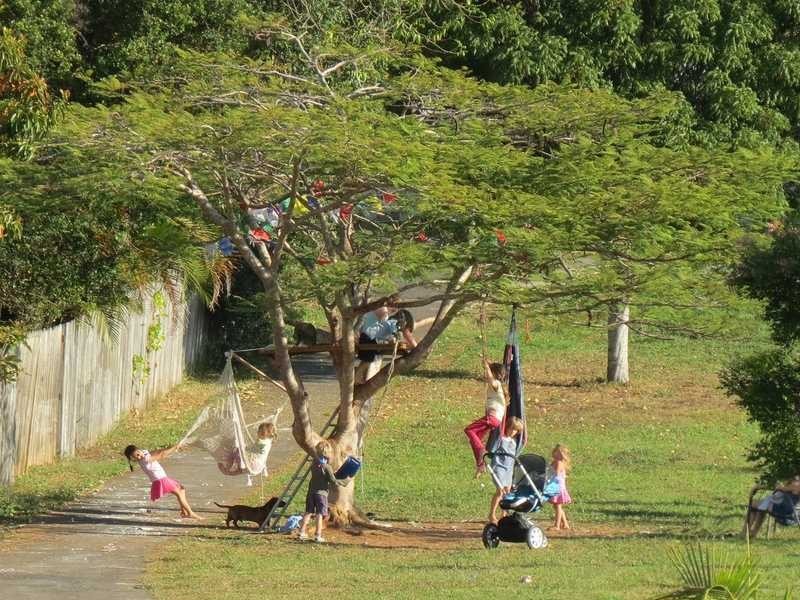 Tuckeroo Avenue, Mullumbimby NSW 2482