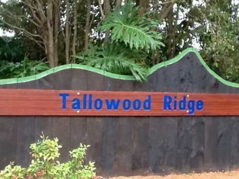 Tuckeroo Avenue, Mullumbimby NSW 2482