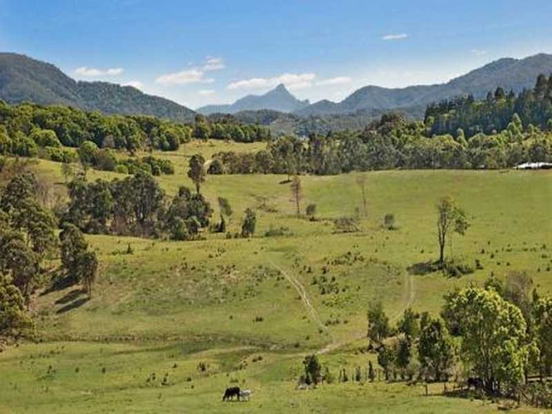 Tuckeroo Avenue, Mullumbimby NSW 2482