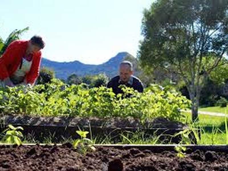 Tuckeroo Avenue, Mullumbimby NSW 2482