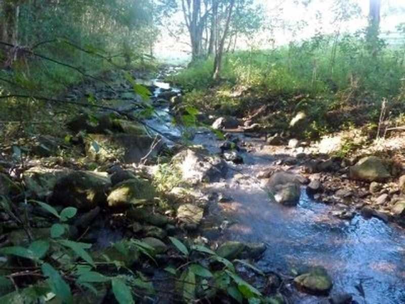 4/119 Elliot Road, Clunes NSW 2480