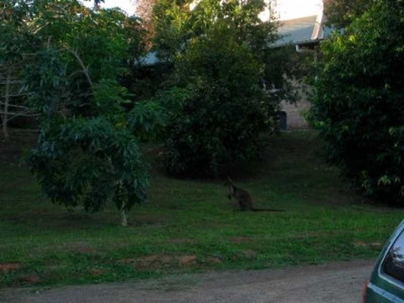 4/119 Elliot Road, Clunes NSW 2480