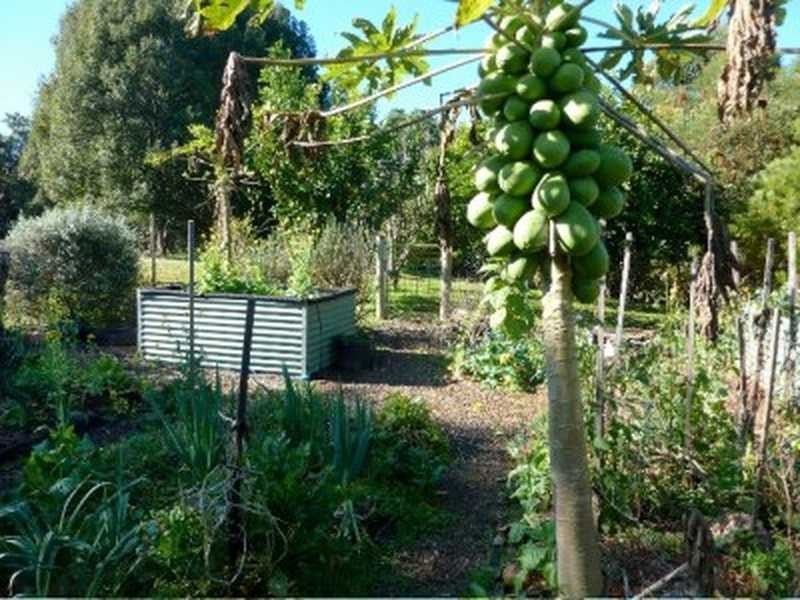 4/119 Elliot Road, Clunes NSW 2480