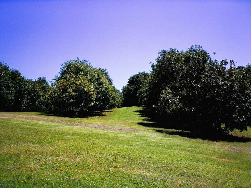 74 Rayward Road, Dunoon NSW 2480