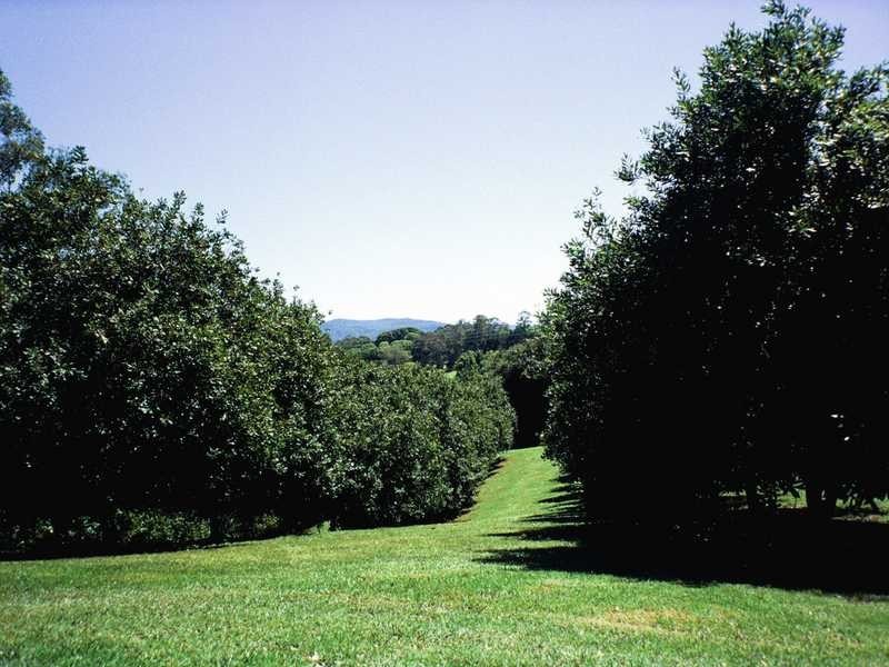 74 Rayward Road, Dunoon NSW 2480