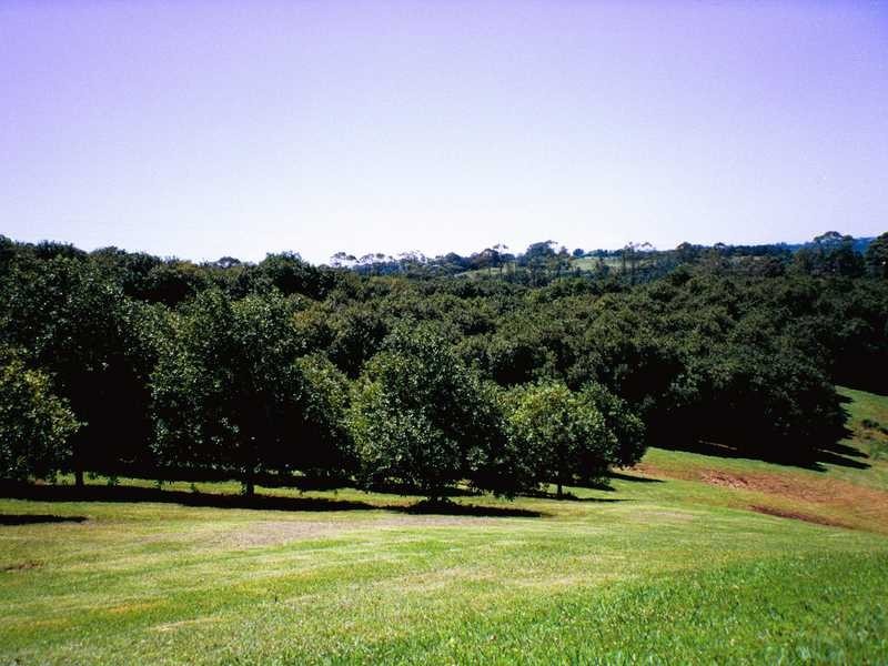 74 Rayward Road, Dunoon NSW 2480