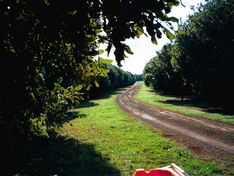 74 Rayward Road, Dunoon NSW 2480