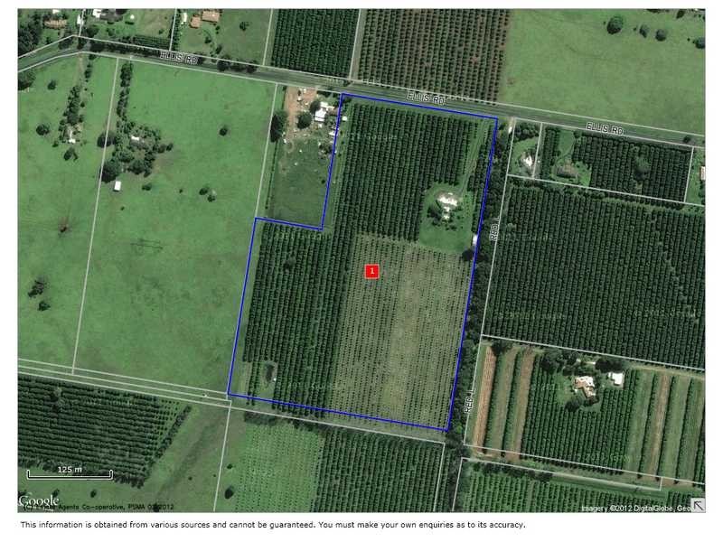 373 Ellis Road, Alstonville NSW 2477