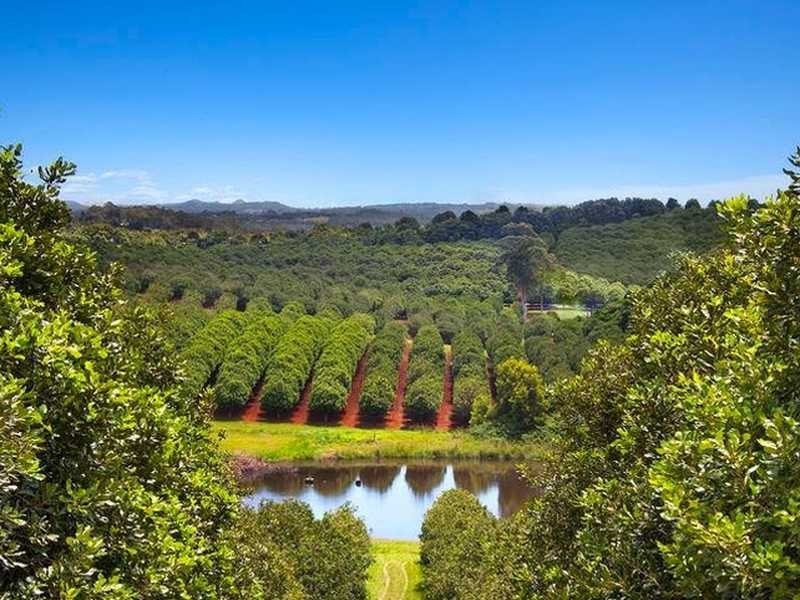 23 Shaws Lane, Tuckombil NSW 2477