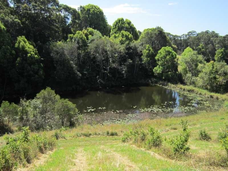 22 Billinudgel Road, Billinudgel NSW 2483