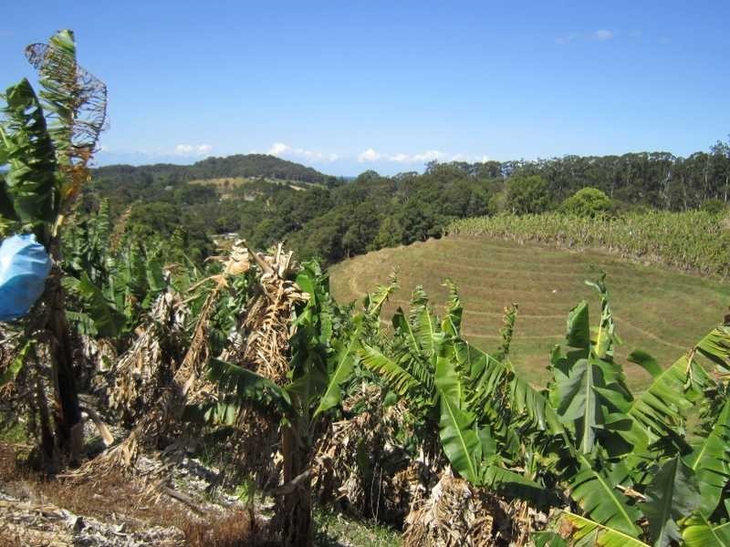 22 Billinudgel Road, Billinudgel NSW 2483