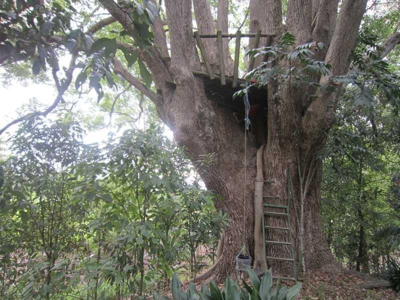 14 Coleman Street, Bexhill NSW 2480