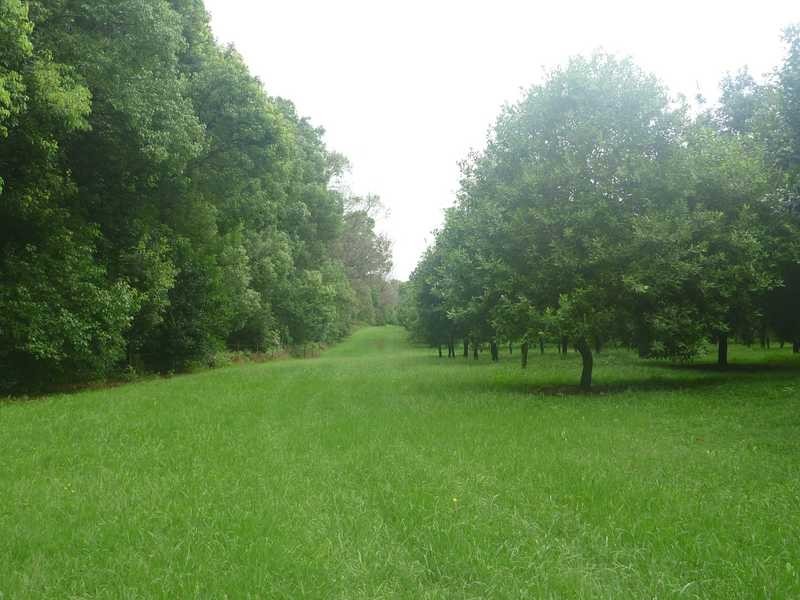 100A Lindendale Rd, Lindendale NSW 2480