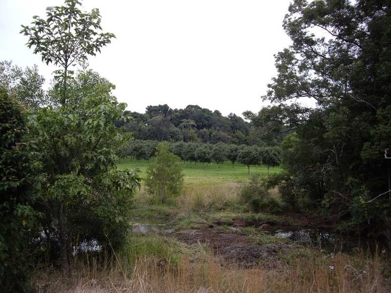 100A Lindendale Rd, Lindendale NSW 2480