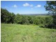 Lot 10 Teak Lane, Federal NSW 2480