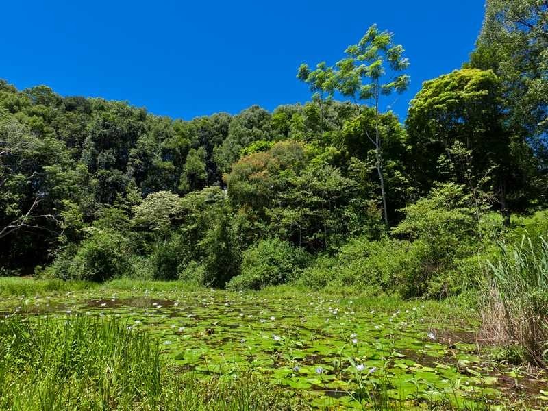 2364C Dunoon Road, Dorroughby NSW 2480