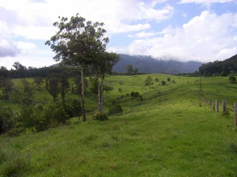 1397 Nimbin Road, Goolmangar NSW 2480