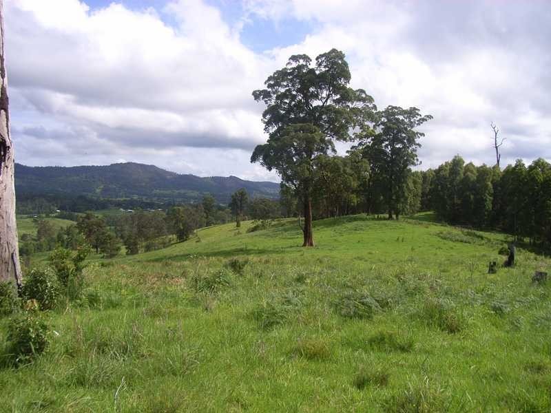 1397 Nimbin Road, Goolmangar NSW 2480