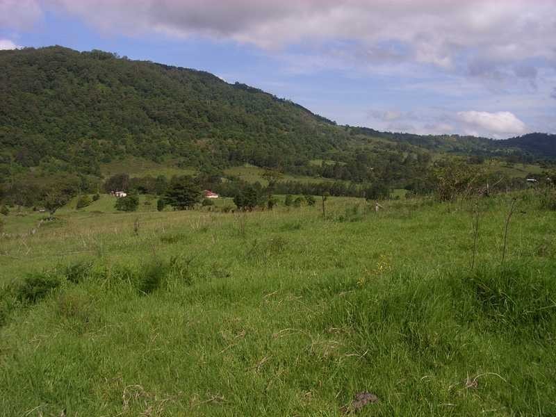 1397 Nimbin Road, Goolmangar NSW 2480