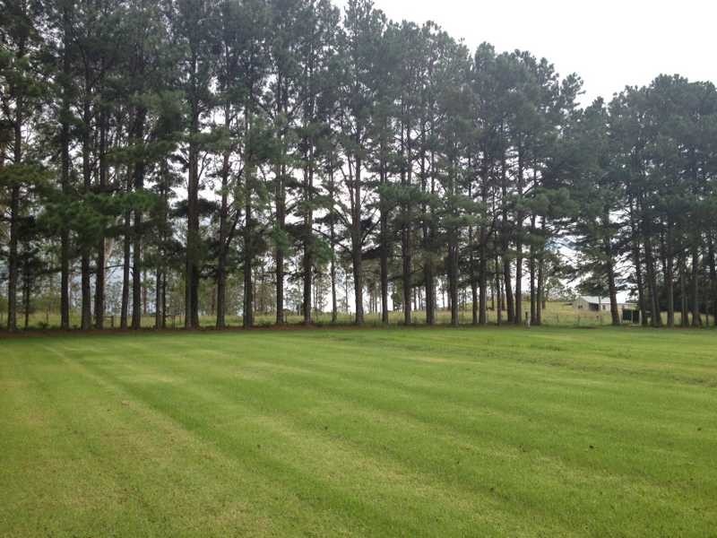 814 Fernleigh Road, Brooklet NSW 2479