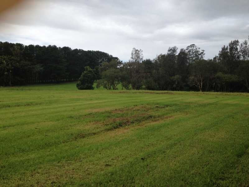 814 Fernleigh Road, Brooklet NSW 2479