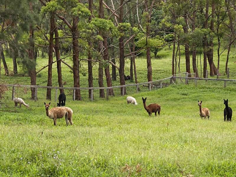 15 James View Court, Coorabell NSW 2479