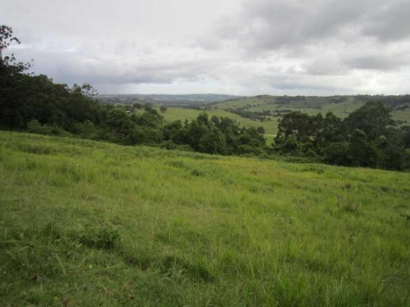 191 Duncan Road, Numulgi NSW 2480